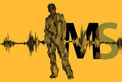 AWT IMAGE